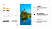 Explore Hangzhou’s West Lake, rich heritage, tea culture, historic landmarks, local cuisine, and modern city life. - slide 4