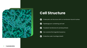 Explore cyanobacteria, their cell structure, nitrogen fixation, photosynthesis, ecology, and biotech uses. - slide 2