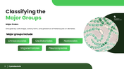 Explore cyanobacteria, their cell structure, nitrogen fixation, photosynthesis, ecology, and biotech uses. - slide 3