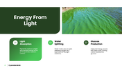 Explore cyanobacteria, their cell structure, nitrogen fixation, photosynthesis, ecology, and biotech uses. - slide 4