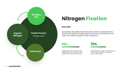Explore cyanobacteria, their cell structure, nitrogen fixation, photosynthesis, ecology, and biotech uses. - slide 5