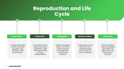 Explore cyanobacteria, their cell structure, nitrogen fixation, photosynthesis, ecology, and biotech uses. - slide 6