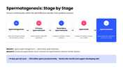 Explore gametogenesis, meiosis, spermatogenesis, oogenesis, hormonal regulation, and gamete formation. - slide 4
