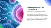 Explore gametogenesis, meiosis, spermatogenesis, oogenesis, hormonal regulation, and gamete formation. - slide 10