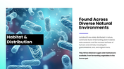 Lactobacillus bacteria shown with slides covering fermentation, health benefits, growth, and industrial uses. - slide 4