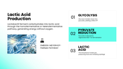 Lactobacillus bacteria shown with slides covering fermentation, health benefits, growth, and industrial uses. - slide 6