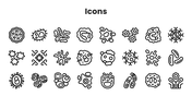 Lactobacillus bacteria shown with slides covering fermentation, health benefits, growth, and industrial uses. - slide 11