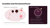Oogenesis diagram showing oocyte development, follicle growth, meiosis, maturation, and egg formation stages. - slide 8