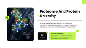 Proteomics presentation showing protein analysis, extraction, separation, mass spectrometry, identification, quantification. - slide 3