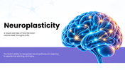 Neuroplasticity presentation showing brain rewiring, learning, memory, recovery, exercise, and mental health. - slide 1