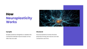 Neuroplasticity presentation showing brain rewiring, learning, memory, recovery, exercise, and mental health. - slide 2