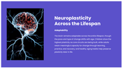 Neuroplasticity presentation showing brain rewiring, learning, memory, recovery, exercise, and mental health. - slide 4