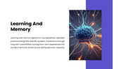 Neuroplasticity presentation showing brain rewiring, learning, memory, recovery, exercise, and mental health. - slide 5