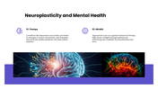 Neuroplasticity presentation showing brain rewiring, learning, memory, recovery, exercise, and mental health. - slide 8