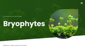 Bryophytes presentation covering mosses, liverworts, hornworts, structure, reproduction, and life cycle. - slide 1