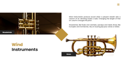 Musical instruments featuring guitar, drums, violin, piano, and brass instruments with their types. - slide 4