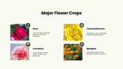 Floriculture PPT cover showing flower crops, soil needs, and cultivation practices for growing flowers. - slide 5