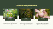 Floriculture PPT cover showing flower crops, soil needs, and cultivation practices for growing flowers. - slide 6