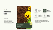 Floriculture PPT cover showing flower crops, soil needs, and cultivation practices for growing flowers. - slide 7