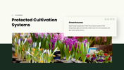 Floriculture PPT cover showing flower crops, soil needs, and cultivation practices for growing flowers. - slide 10