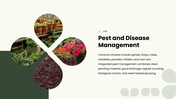 Floriculture PPT cover showing flower crops, soil needs, and cultivation practices for growing flowers. - slide 11