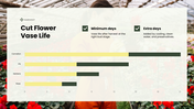 Floriculture PPT cover showing flower crops, soil needs, and cultivation practices for growing flowers. - slide 12