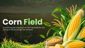 Corn Field PPT cover showing corn growth stages, soil requirements, and modern farming techniques. - slide 1