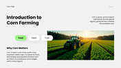 Corn Field PPT cover showing corn growth stages, soil requirements, and modern farming techniques. - slide 2