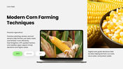 Corn Field PPT cover showing corn growth stages, soil requirements, and modern farming techniques. - slide 9