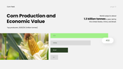 Corn Field PPT cover showing corn growth stages, soil requirements, and modern farming techniques. - slide 12