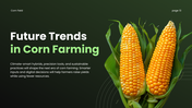 Corn Field PPT cover showing corn growth stages, soil requirements, and modern farming techniques. - slide 13