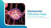 401081-glomerular-filtration-rate-01