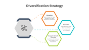 401094-diversification-strategy-04