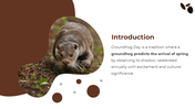 401154-groundhog-day-02