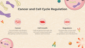 401308-biology-subject-for-middle-school-cell-cycle-and-mitosis-04
