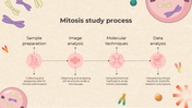 401308-biology-subject-for-middle-school-cell-cycle-and-mitosis-08