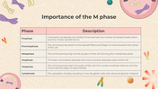 401308-biology-subject-for-middle-school-cell-cycle-and-mitosis-10