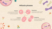 401308-biology-subject-for-middle-school-cell-cycle-and-mitosis-11