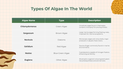 401346-biology-subject-for-high-school-algae-and-fungi-12