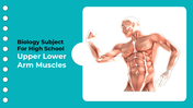 401347-biology-subject-for-high-school-upper-lower-arm-muscles-01