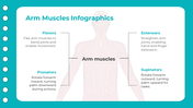 401347-biology-subject-for-high-school-upper-lower-arm-muscles-03