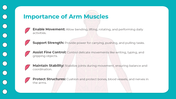 401347-biology-subject-for-high-school-upper-lower-arm-muscles-05