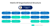 401350-matrix-of-organizational-structure-03