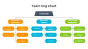 401351-team-org-chart-02