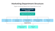 401352-marketing-department-structure-05