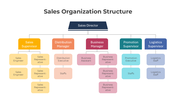 401353-sales-organization-structure-01