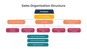 401353-sales-organization-structure-04