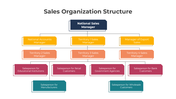 401353-sales-organization-structure-05