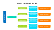 401355-sales-team-structure-01