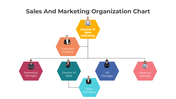 401359-sales-and-marketing-organization-chart-06